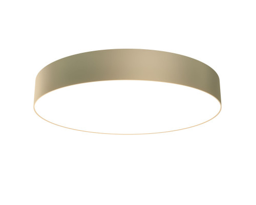 Заказать Накладной светильник Maytoni Technical C032CL-L48MG4K| VIVID-LIGHT.RU