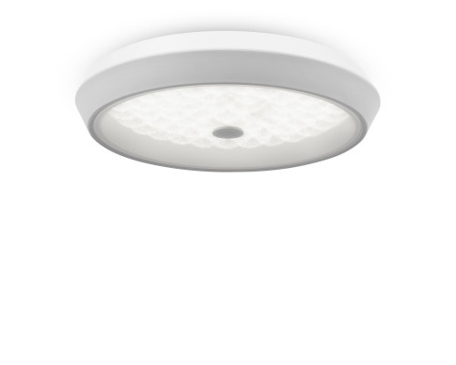 Купить Накладной светильник Freya FR10012CL-L24W| VIVID-LIGHT.RU