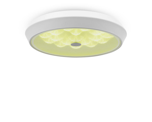 Купить Накладной светильник Freya FR10012CL-L24W| VIVID-LIGHT.RU