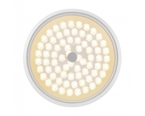 Купить Накладной светильник Freya FR10012CL-L24W| VIVID-LIGHT.RU