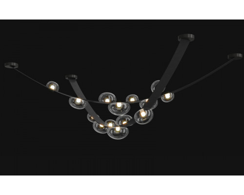 Оформить заказ Накладной светильник Crystal Lux BOSQUE SP7 L3000 BLACK/TRANSPARENT| VIVID-LIGHT.RU