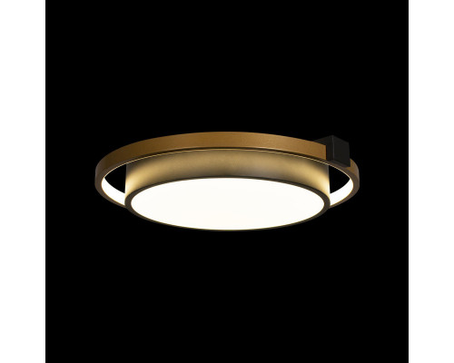 Заказать Накладной светильник LOFT IT 10169| VIVID-LIGHT.RU