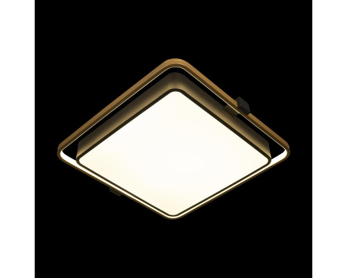 Оформить заказ Накладной светильник LOFT IT 10172| VIVID-LIGHT.RU