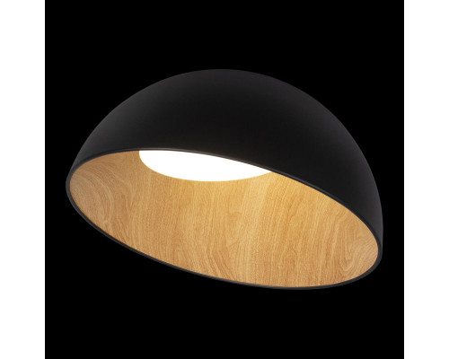 Сделать заказ Накладной светильник LOFT IT 10197/500 Black| VIVID-LIGHT.RU