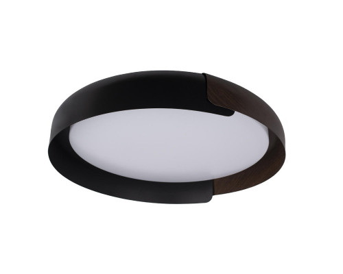 Купить Накладной светильник LOFT IT 10198 Black| VIVID-LIGHT.RU