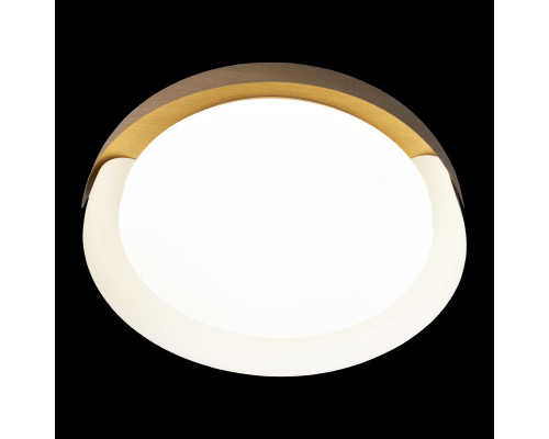 Оформить заказ Накладной светильник LOFT IT 10198 White| VIVID-LIGHT.RU