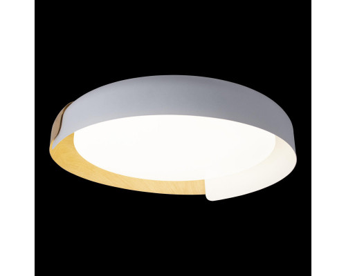 Оформить заказ Накладной светильник LOFT IT 10198 White| VIVID-LIGHT.RU