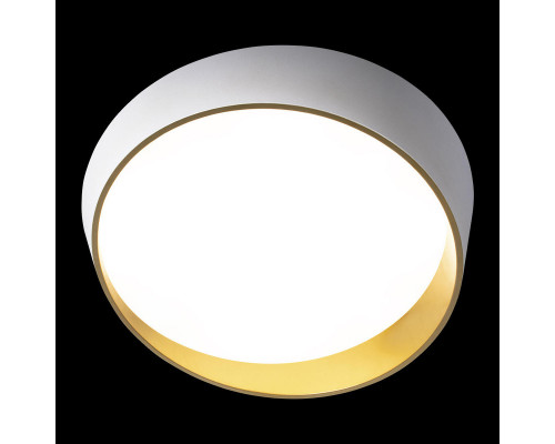 Оформить заказ Накладной светильник LOFT IT 10199 White| VIVID-LIGHT.RU