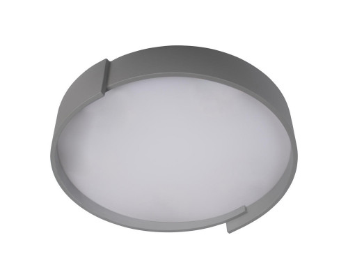 Сделать заказ Накладной светильник LOFT IT 10200 Grey| VIVID-LIGHT.RU