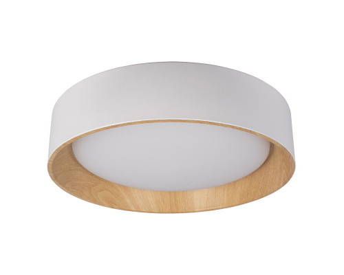 Заказать Накладной светильник LOFT IT 10202 White| VIVID-LIGHT.RU