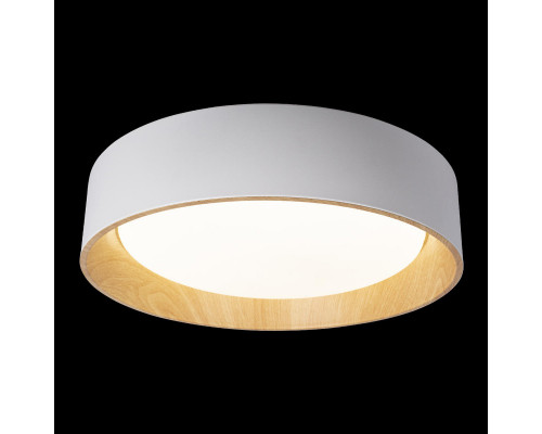 Заказать Накладной светильник LOFT IT 10202 White| VIVID-LIGHT.RU