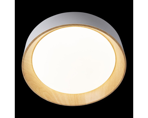 Заказать Накладной светильник LOFT IT 10202 White| VIVID-LIGHT.RU