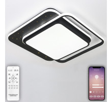 Накладной светильник Natali Kovaltseva INNOVATION STYLE 83115