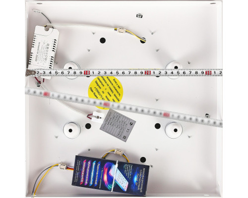 Сделать заказ Накладной светильник Natali Kovaltseva LED SMART 84001| VIVID-LIGHT.RU