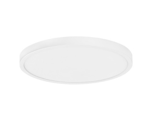 Заказать Накладной светильник Lightstar 225336| VIVID-LIGHT.RU