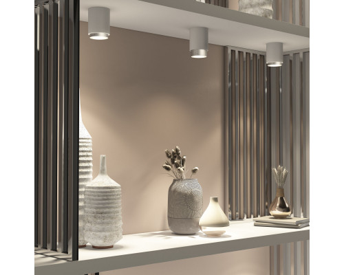 Оформить заказ Накладной светильник Elektrostandard Cors 10W (25032/LED) белый/серебро| VIVID-LIGHT.RU