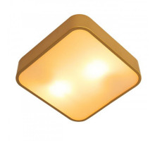 Накладной светильник ARTE Lamp A7210PL-2GO