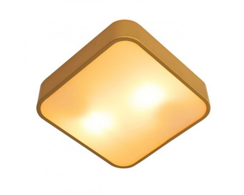 Оформить заказ Накладной светильник ARTE Lamp A7210PL-2GO| VIVID-LIGHT.RU