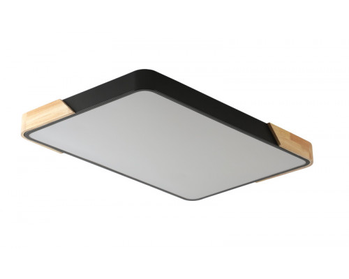 Оформить заказ Накладной светильник Zortes ZRS.01244.60| VIVID-LIGHT.RU