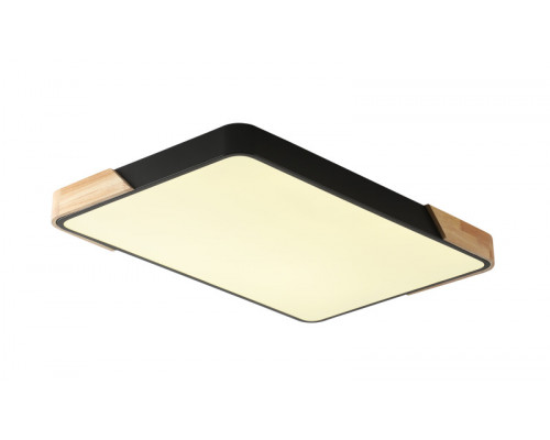 Оформить заказ Накладной светильник Zortes ZRS.01244.60| VIVID-LIGHT.RU