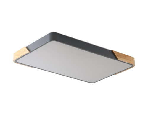 Сделать заказ Накладной светильник Zortes ZRS.01277.60| VIVID-LIGHT.RU