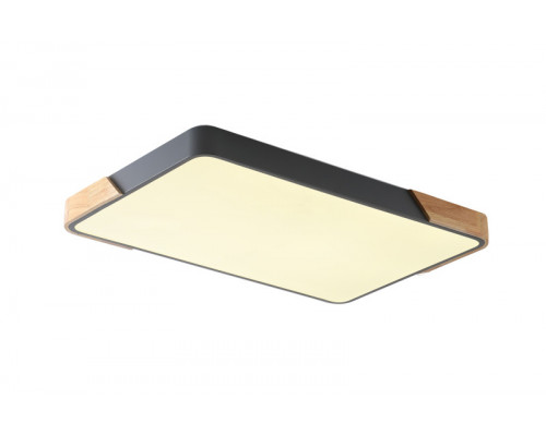 Сделать заказ Накладной светильник Zortes ZRS.01277.60| VIVID-LIGHT.RU