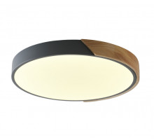 Накладной светильник Zortes ZRS.01280.36