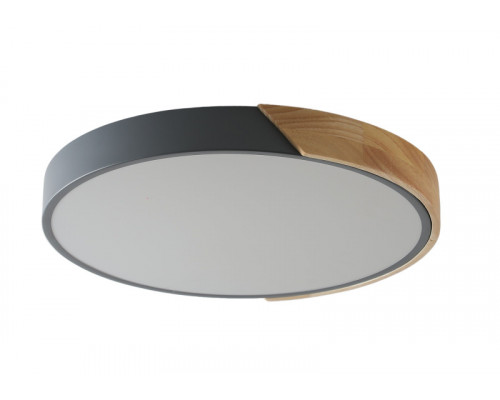 Заказать Накладной светильник Zortes ZRS.01280.90| VIVID-LIGHT.RU