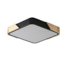 Накладной светильник Zortes ZRS.01281.48