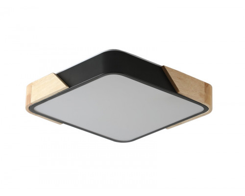 Сделать заказ Накладной светильник Zortes ZRS.01281.48| VIVID-LIGHT.RU