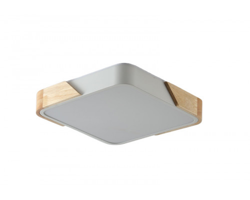 Заказать Накладной светильник Zortes ZRS.01285.24| VIVID-LIGHT.RU