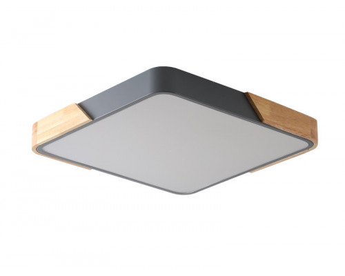 Оформить заказ Накладной светильник Zortes ZRS.01288.24| VIVID-LIGHT.RU