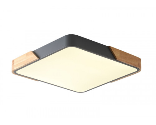 Оформить заказ Накладной светильник Zortes ZRS.01288.48| VIVID-LIGHT.RU