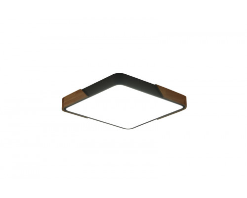 Оформить заказ Накладной светильник Zortes ZRS.01288.48| VIVID-LIGHT.RU