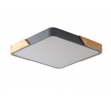 Накладной светильник Zortes ZRS.01288.60