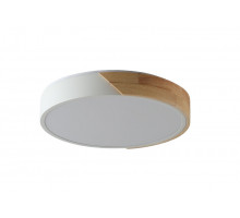 Накладной светильник Zortes ZRS.01289.48