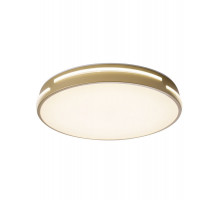 Накладной светильник Zortes ZRS.90610.40