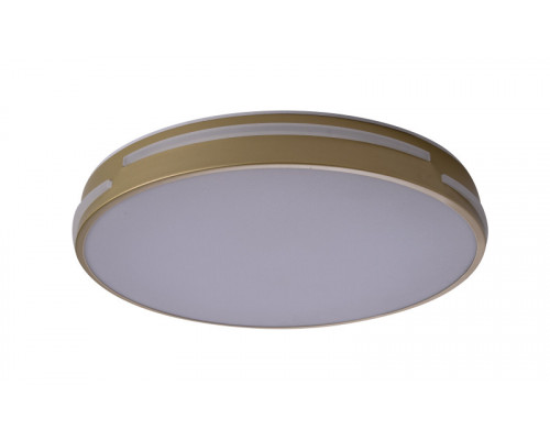 Заказать Накладной светильник Zortes ZRS.90610.40| VIVID-LIGHT.RU