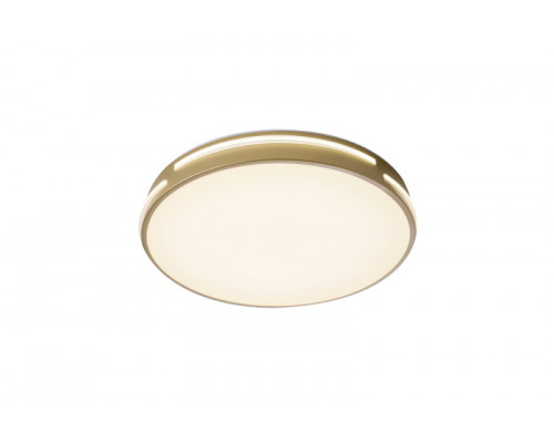 Заказать Накладной светильник Zortes ZRS.90610.40| VIVID-LIGHT.RU