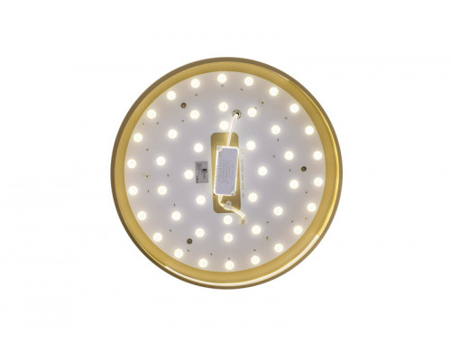 Заказать Накладной светильник Zortes ZRS.90610.40| VIVID-LIGHT.RU