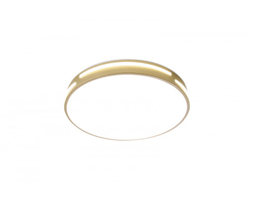 Заказать Накладной светильник Zortes ZRS.90610.40| VIVID-LIGHT.RU