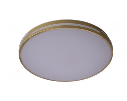 Сделать заказ Накладной светильник Zortes ZRS.90610.50| VIVID-LIGHT.RU