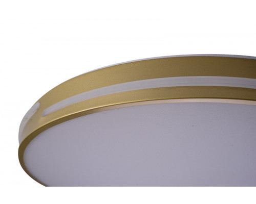 Сделать заказ Накладной светильник Zortes ZRS.90610.50| VIVID-LIGHT.RU