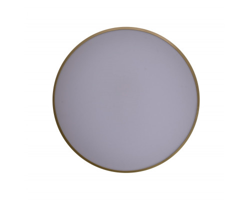 Сделать заказ Накладной светильник Zortes ZRS.90610.50| VIVID-LIGHT.RU