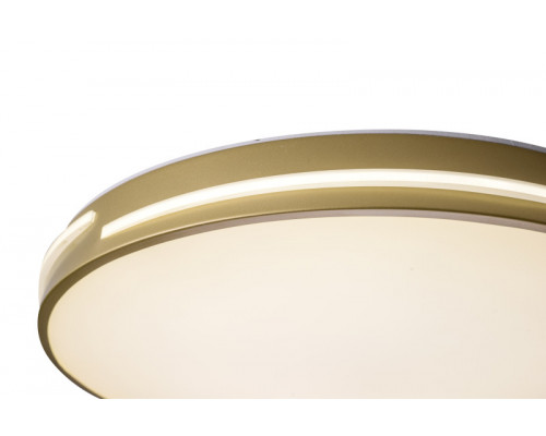 Сделать заказ Накладной светильник Zortes ZRS.90610.50| VIVID-LIGHT.RU