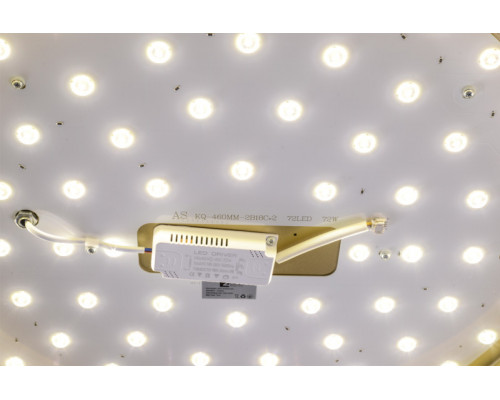 Сделать заказ Накладной светильник Zortes ZRS.90610.50| VIVID-LIGHT.RU