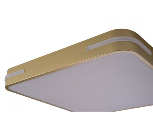 Купить Накладной светильник Zortes ZRS.1215.03| VIVID-LIGHT.RU