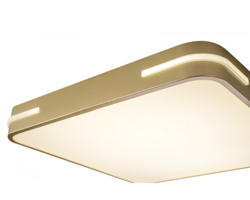 Купить Накладной светильник Zortes ZRS.1215.03| VIVID-LIGHT.RU