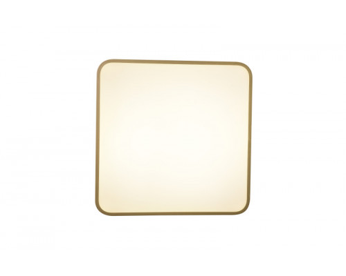 Купить Накладной светильник Zortes ZRS.1215.03| VIVID-LIGHT.RU