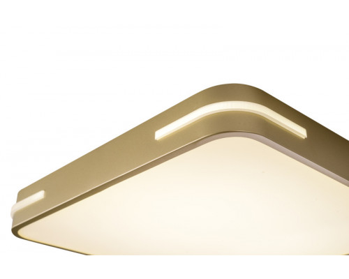 Купить Накладной светильник Zortes ZRS.1215.03| VIVID-LIGHT.RU